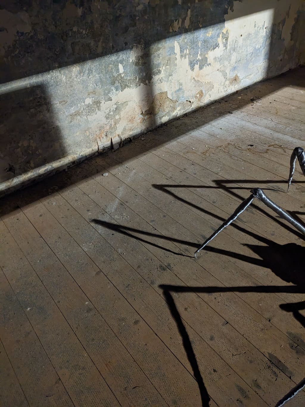 Foto - Spinnenbeine und Schatten - aus dem Ausstellungs-Parcours "Mitternacht 24/7" von Merle Smalla